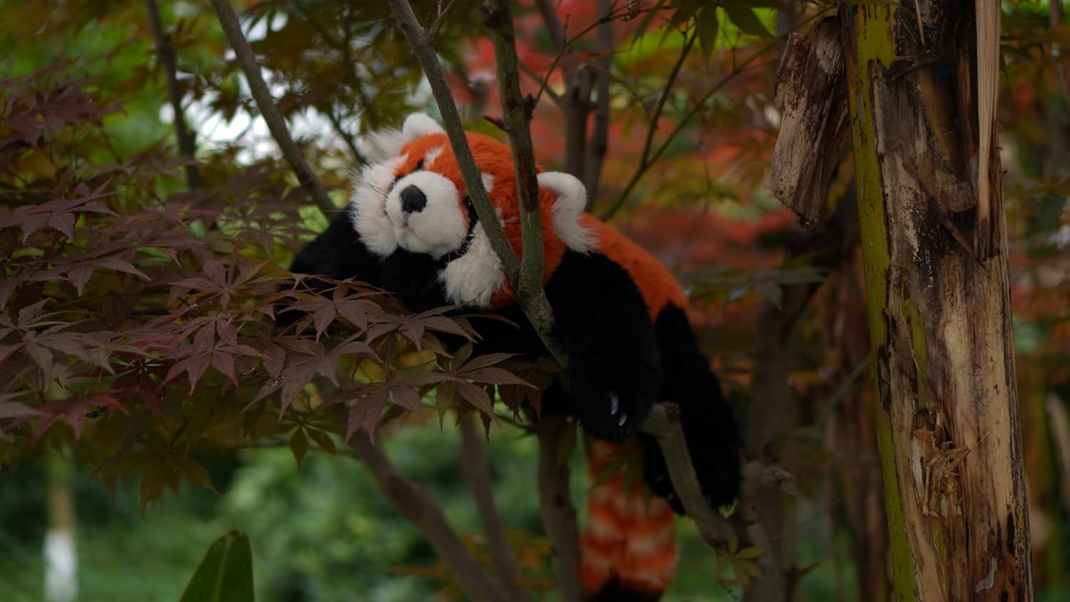 Chongker レッサーパンダのぬいぐるみがリアルでリアル、完全手作りの